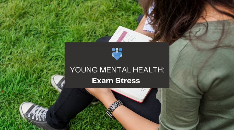 Exam Stress and Mental Health